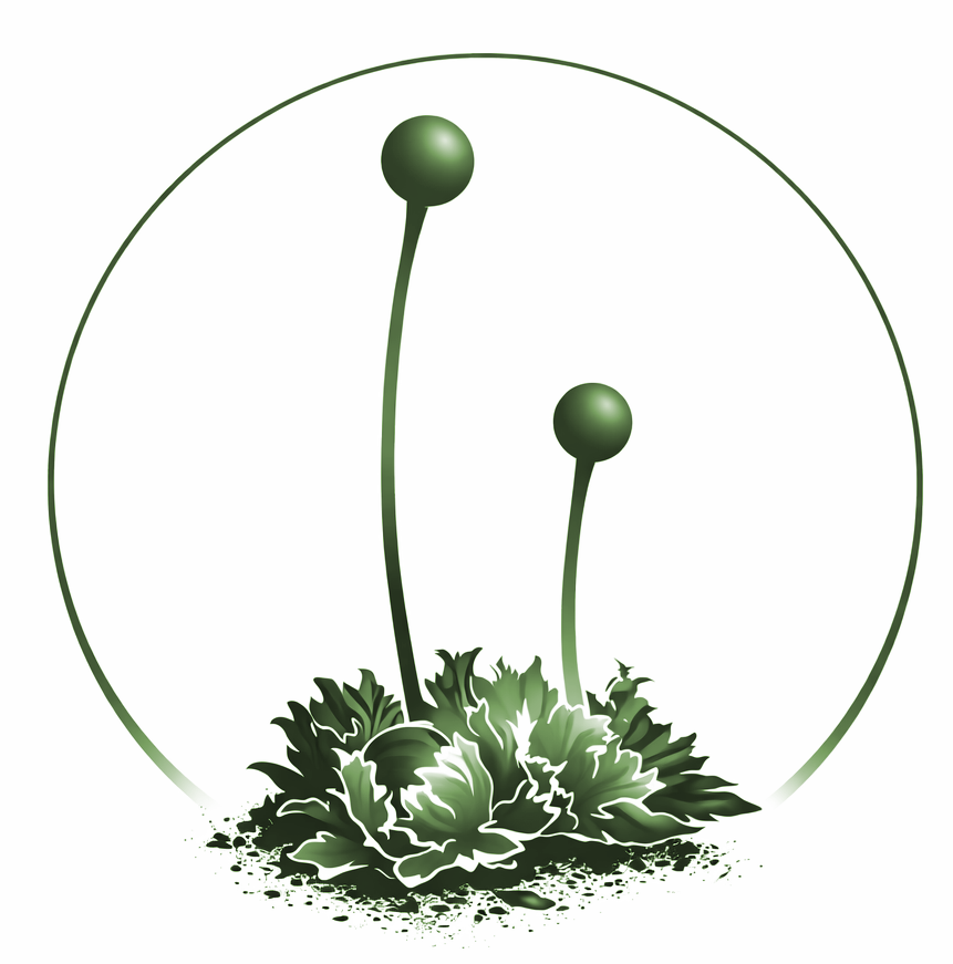 11th ECCB Conference – Cagliari